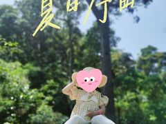 -海南热带雨林国家公园吊罗山景区