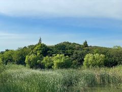 -上海吴淞炮台湾国家湿地公园