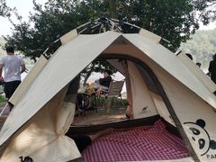 -南京市无想山景区