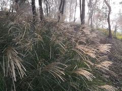 -上海市保健医疗中心(华东疗养院)