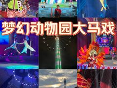 -无锡动物园·太湖欢乐园