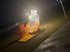 -南京眼步行桥
