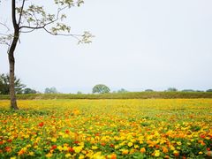 -良渚古城遗址公园