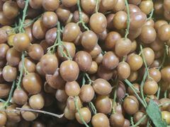 -港华水果街(港华广场店)