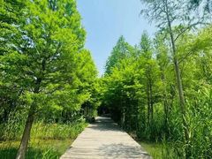 -溱湖国家湿地公园