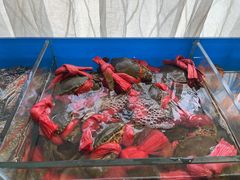 -华盛丰温州大排档(东三环南路店)