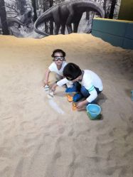 -恐龙探索乐园(磁器口店)