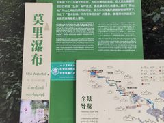 -莫里热带雨林景区