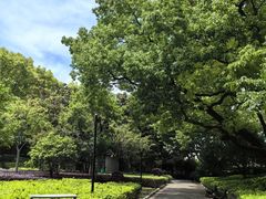 -徐家汇源景区-衡山公园