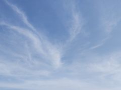 -瑰丽酒店·海吧·天际下午茶·现场DJ·天台酒吧