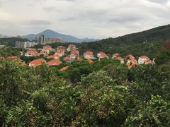 -海市蜃楼花园主题餐厅(石顶店)