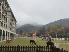 -南京汤山紫清湖生态旅游温泉度假区