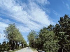 -大连天门山国家森林公园