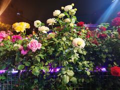 -张记焖窑·十五年专注焖烤(雍和宫店)