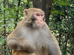 -重庆雨台山风景区