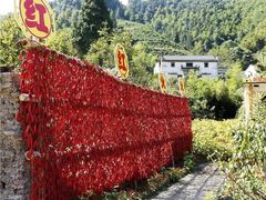 -新安江山水画廊风景区
