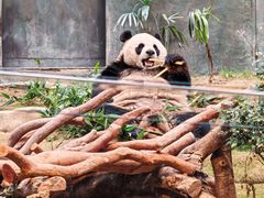 -香港海洋公园