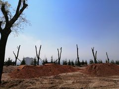 -报恩寺(平武县)