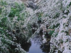 -中国茶叶博物馆(双峰馆区)