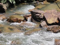 -广州白江湖森林公园