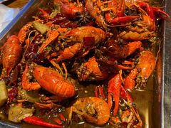 龙虾-杨记玉喜龙虾肥蛤(文东店)