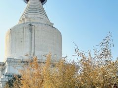 -妙应寺白塔