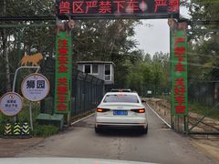 -秦皇岛野生动物园