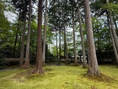-三千院