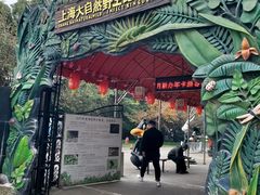 -上海大自然野生昆虫馆(东方明珠·爬宠昆虫探索中心)