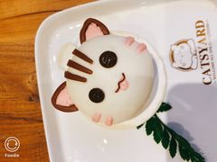 -猫小院猫主题咖啡厅(北锣店)