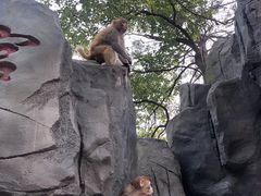 -石燕湖生态旅游景区