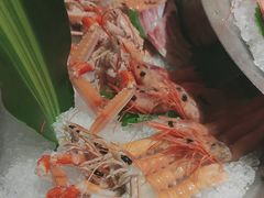 -Mr.Fish鱼鲜生海鲜放题(高德置地冬广场店)
