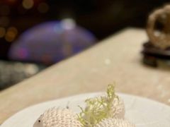 -8餐厅(新葡京酒店)