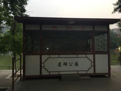-莲湖公园