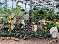 -南通洲际绿博园