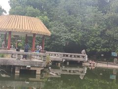 -江湾体育中心游泳馆