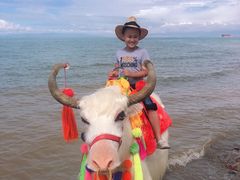 -青海湖国家重点风景名胜区