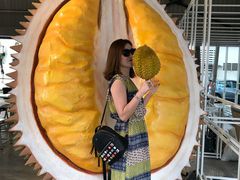 -都念榴莲·城市榴莲