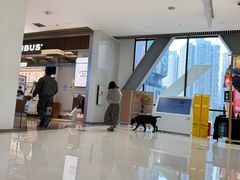 -龙湖重庆时代天街
