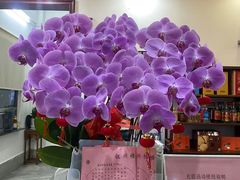 -叙兴楼(礼东财记农庄分店)