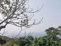 -海南铜鼓岭景区