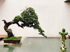 -觀芷隐轩