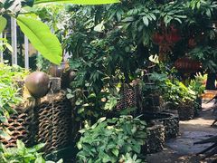 -园林美食城·本土农家菜(杨和镇店)