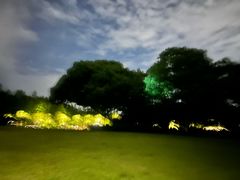-西湖游船