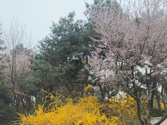 -团结湖公园