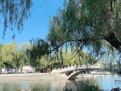 -闫家炸鸡架(五爱总店)