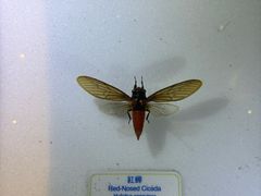 -香港科学馆