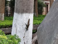 -一锅厨东北水饺店(厦大店)