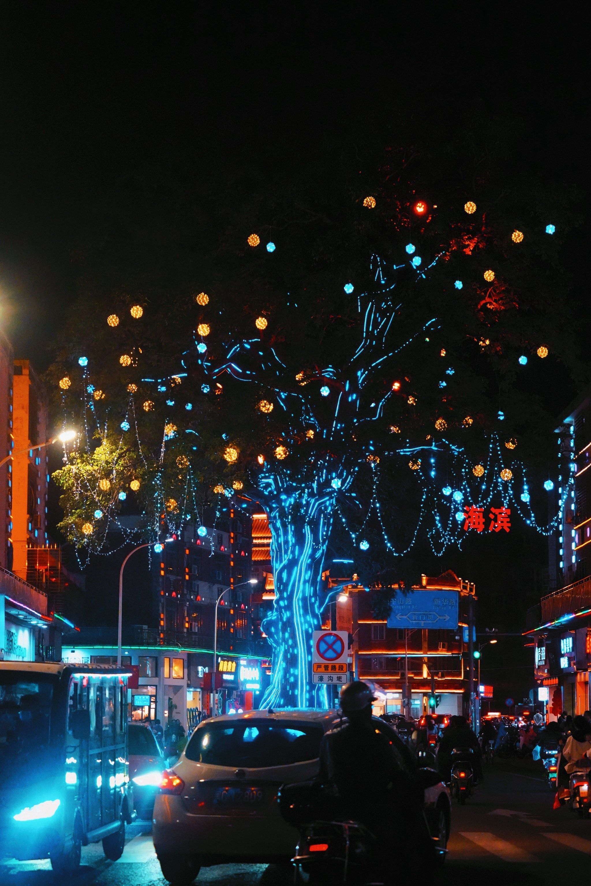 打卡梦幻阿凡达灯光树🎄