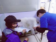 -天时宠物医院24小时疑难病例会诊中心(顾乡大街总院)
